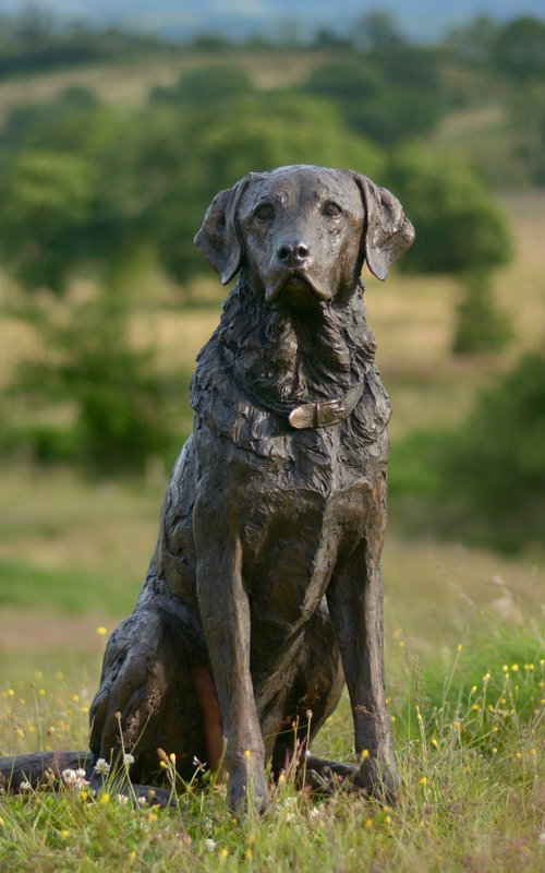 "Harris" Seated Labrador 2 BR by Tanya Russell