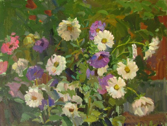 Asters