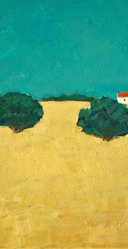 Olive Trees, Andalusia by David J Edwards