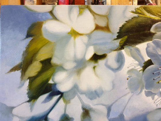 "Spring tenderness"  spring apple tree flower  liGHt original painting  GIFT (2020)