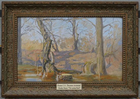 Spring flood