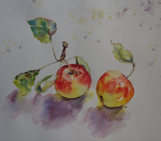 Two Autumn Apples - watercolor on paper