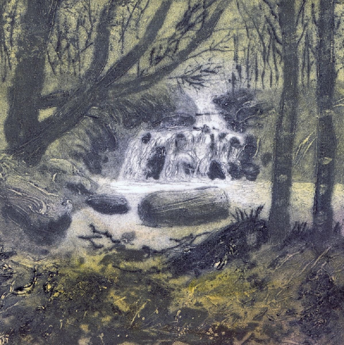 Glengarriff Woods Waterfall by Aidan Flanagan Irish Landscapes
