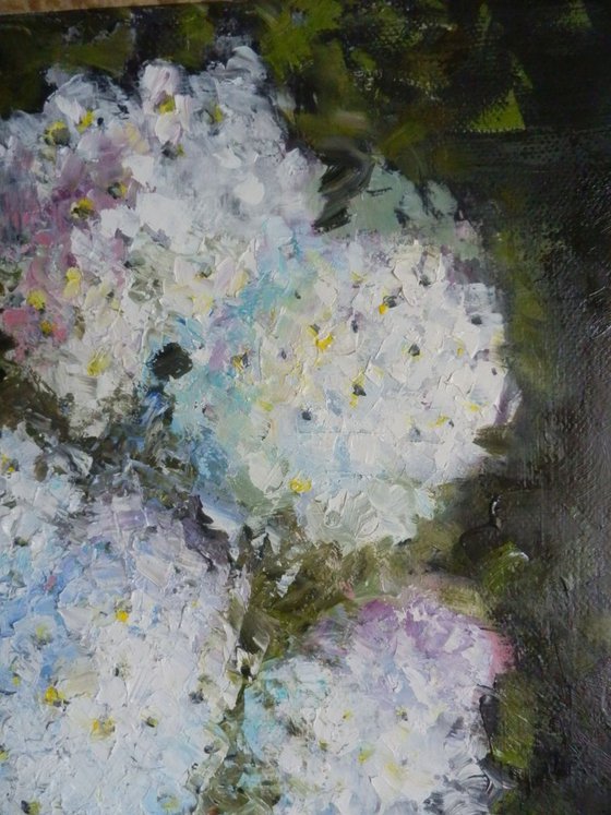 Still life with hydrangeas