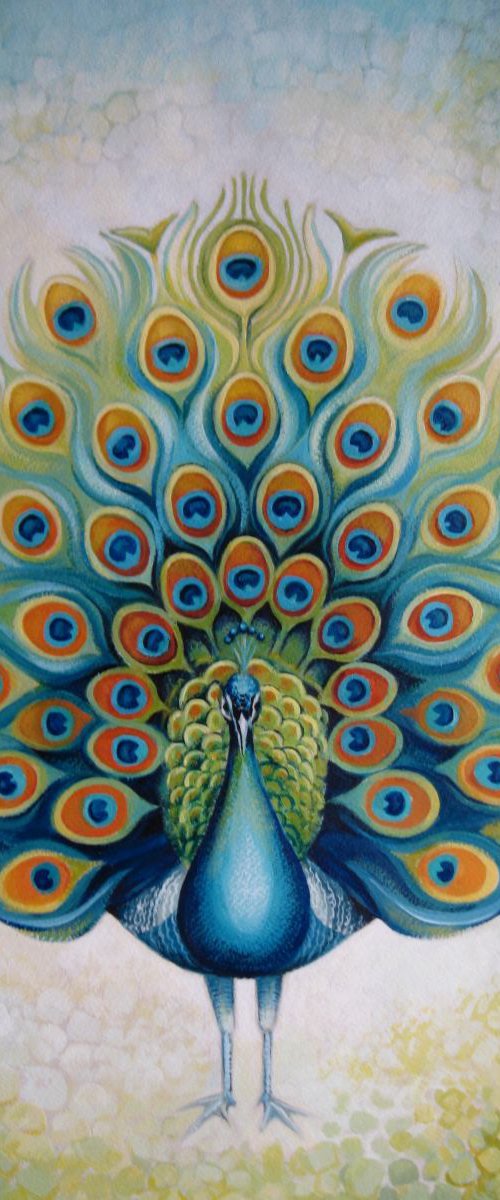 Peacock by Elena Oleniuc