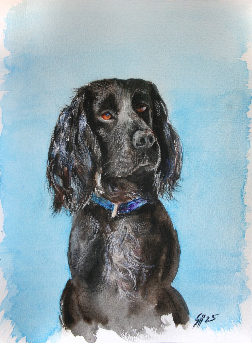 Impressionistic Animal Painting By Salana Art / Svetlana Samovarova, 11 X 15", Dog 01.25, Original Artwork