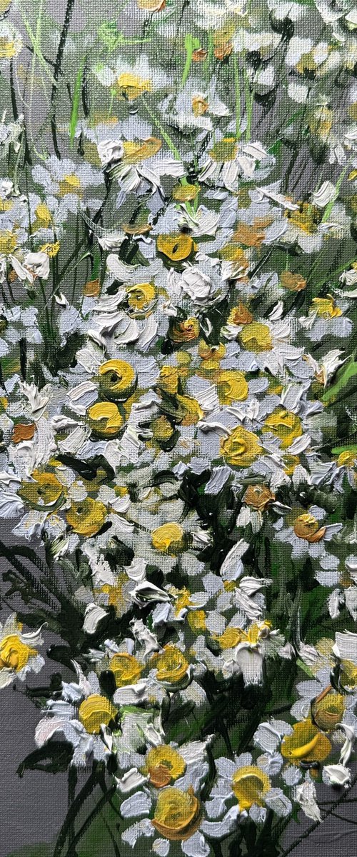 daisy by Olena Hromova