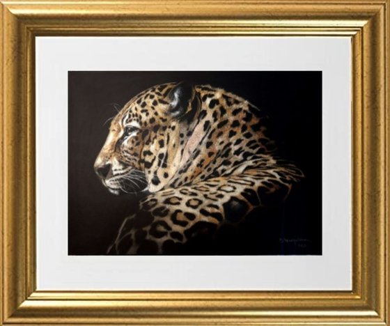 Leopard realism wild animals pastel on pastelmat