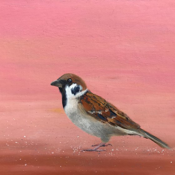 Garden Sparrow on Rose Gold