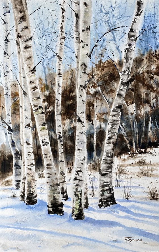 Birch family , original watercolour