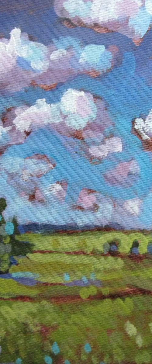 SUMMER 4 (BOHEMIA). by LENKA STASTNA