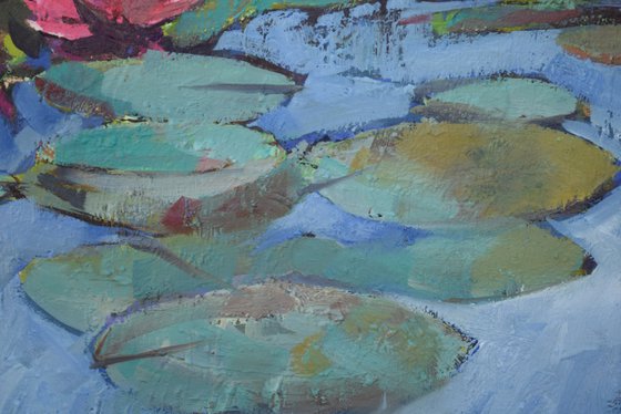 Water lilies