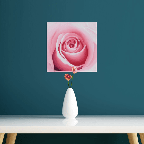 Pure Joy. Rose Painting
