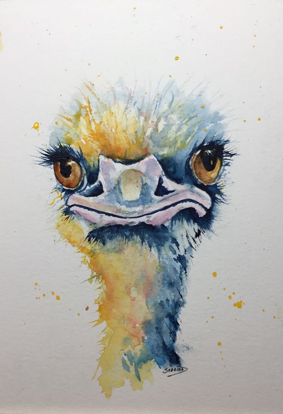 Ostrich in yellow and blue