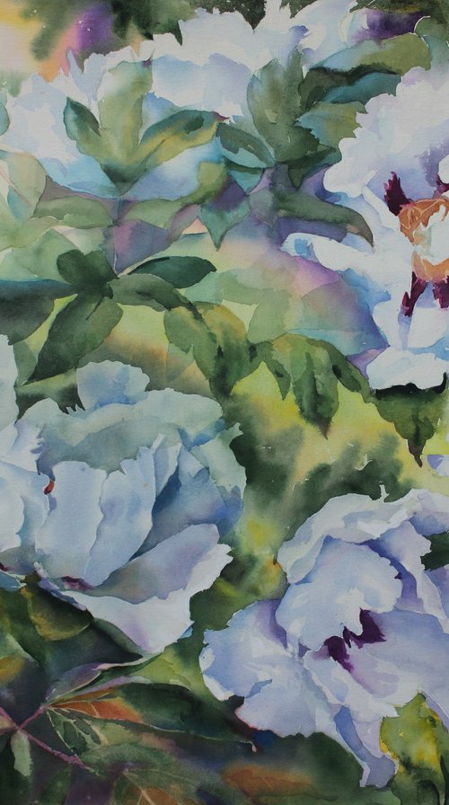 WHITE PEONIES #3 by Yurii Pashkov