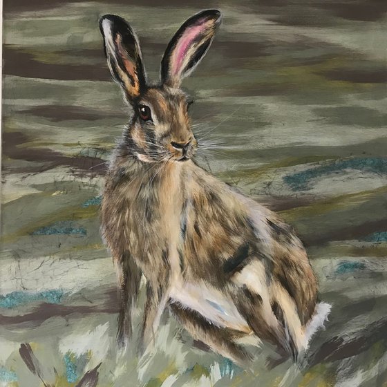 Moorland hare