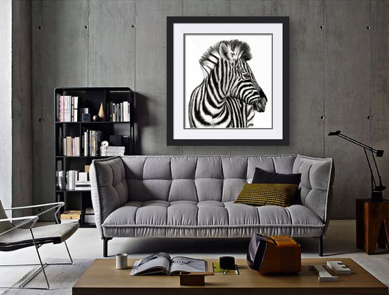 Zebra II