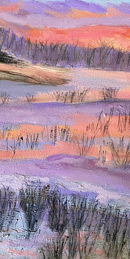 Sunrise And Grasses by Nikki Wheeler