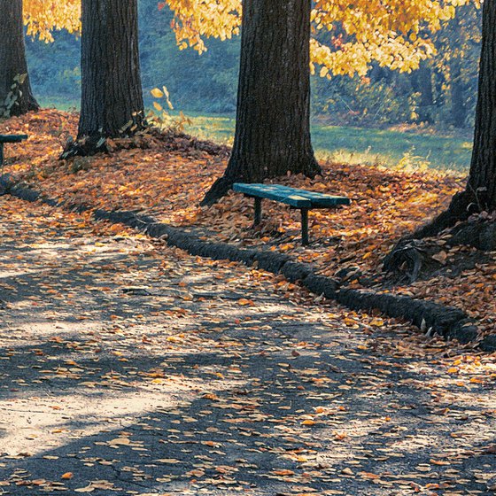 Alone with autumn.