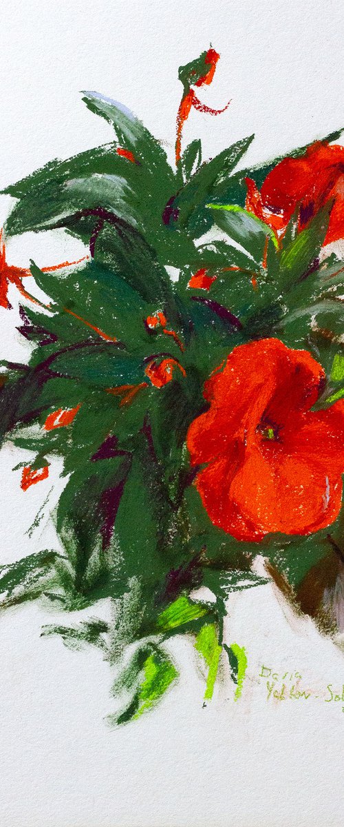 New Guinea Balsam flowers by Daria Yablon-Soloviova