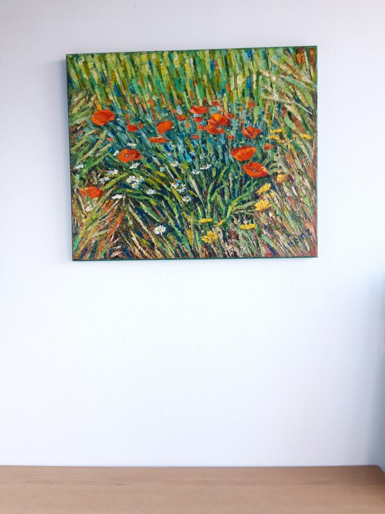 Poppies and marguerites
