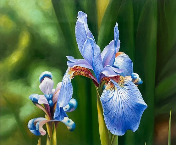 Beautiful flowers t268