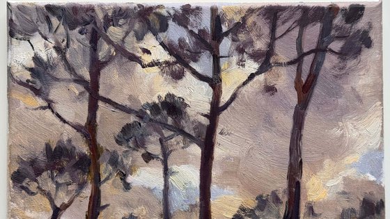 Whispering Pines, Florida