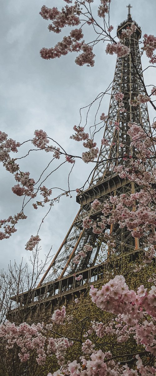 PARIS by Fabio Accorrà