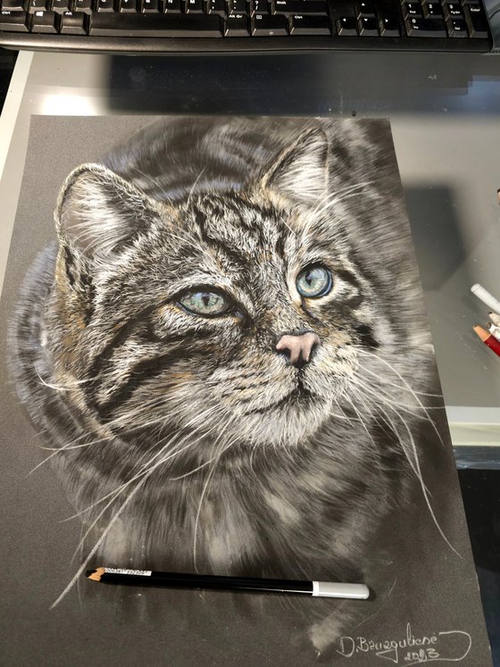 Pastel oil Cat painting realism on Paper
