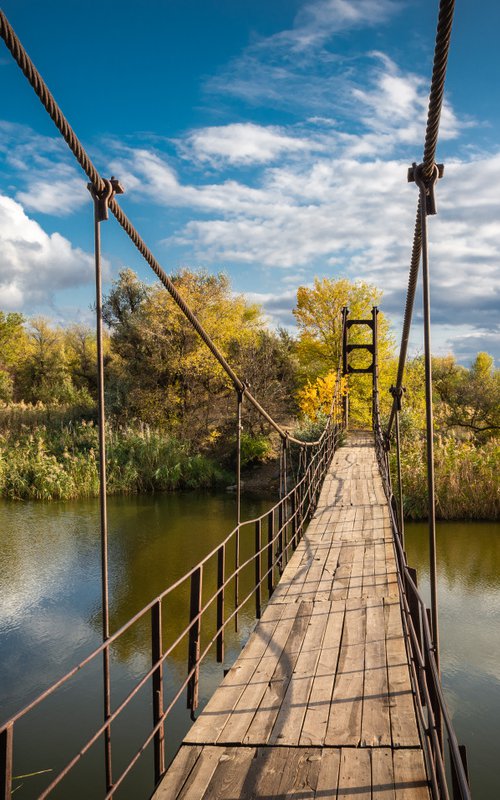 The Bridge by Vlad Durniev