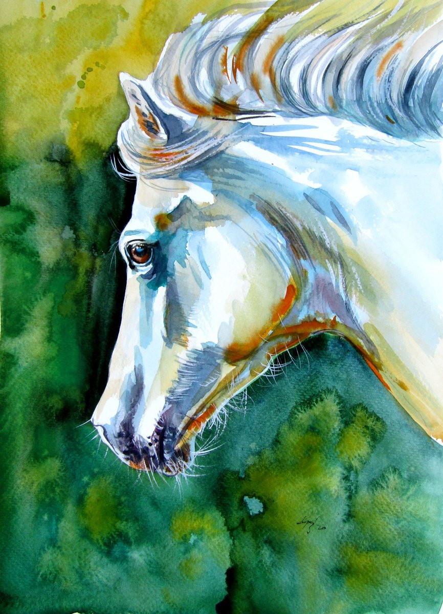 Impressionistic Animal Watercolour By Kovacs Anna Brigitta, 10 X 14", White Horse, Original Artwork