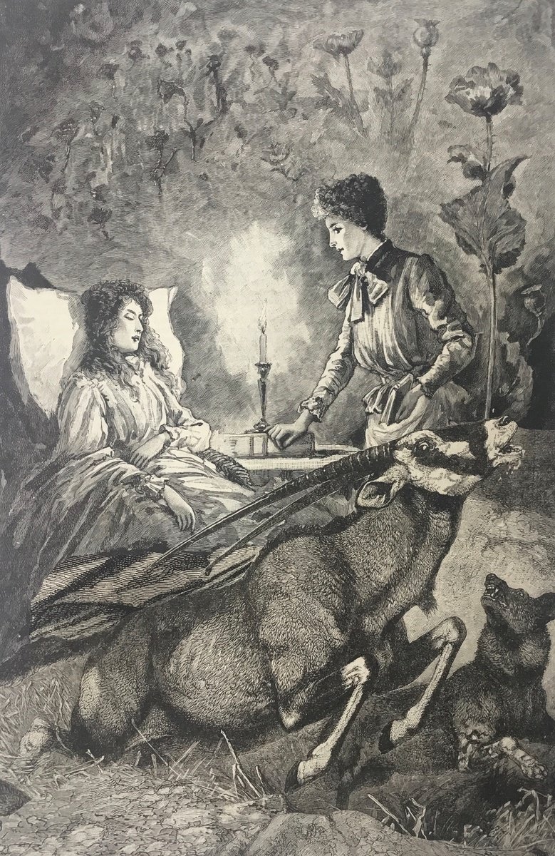 Surrealistic Portrait Collage By Tudor Evans, 6 X 10", Opium Poppy Dreams, Original Artwork