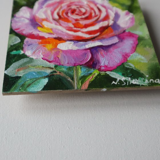 Rose Small Art Framed