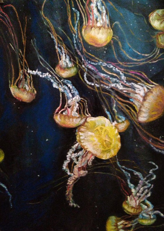 Sea nettle