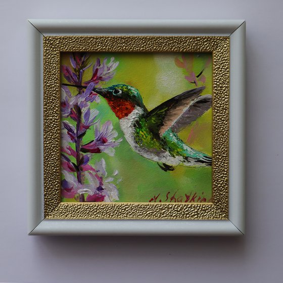 Hummingbird Painting Oil