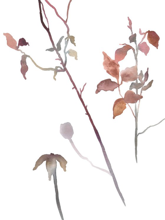 Rose Study No. 21