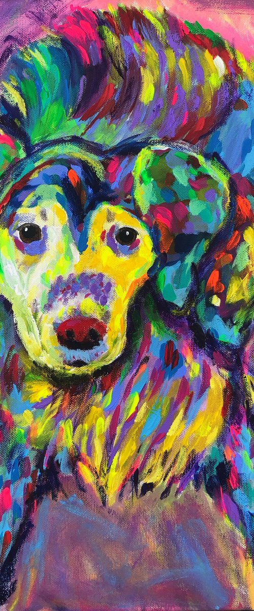 Colorful Retriever by Paul Baaske