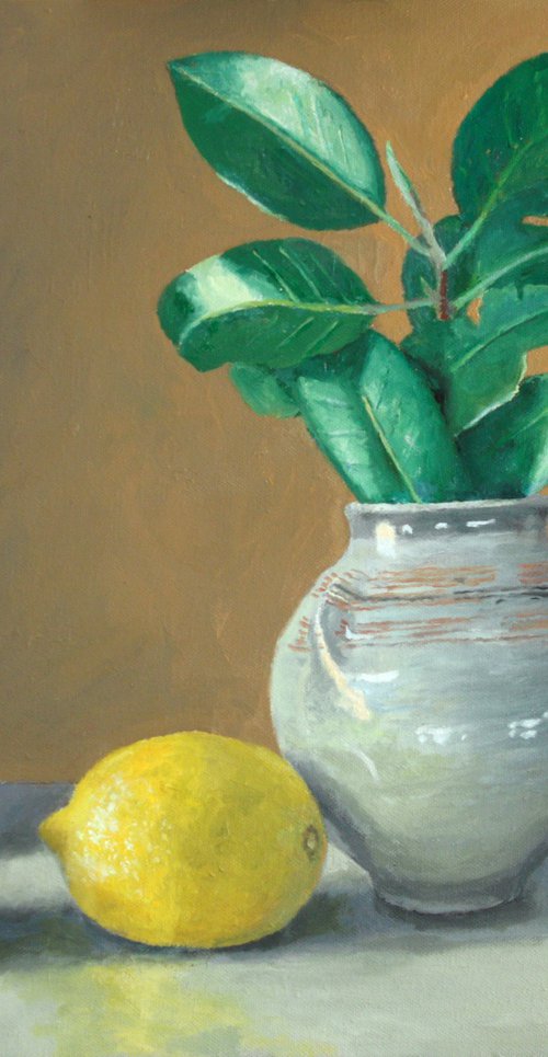 Lemons and Camelia by Douglas Newton
