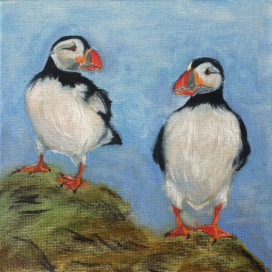 Bird portrait of couple puffins - Gift idea for bird lover