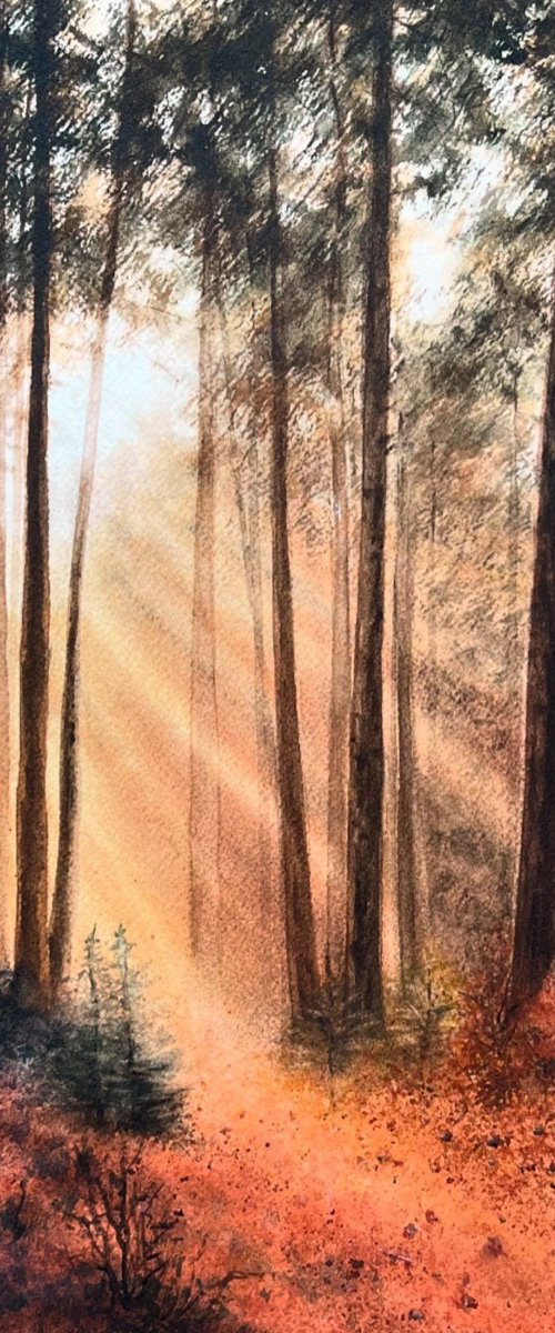 Forest Clearing by Annett Coumont