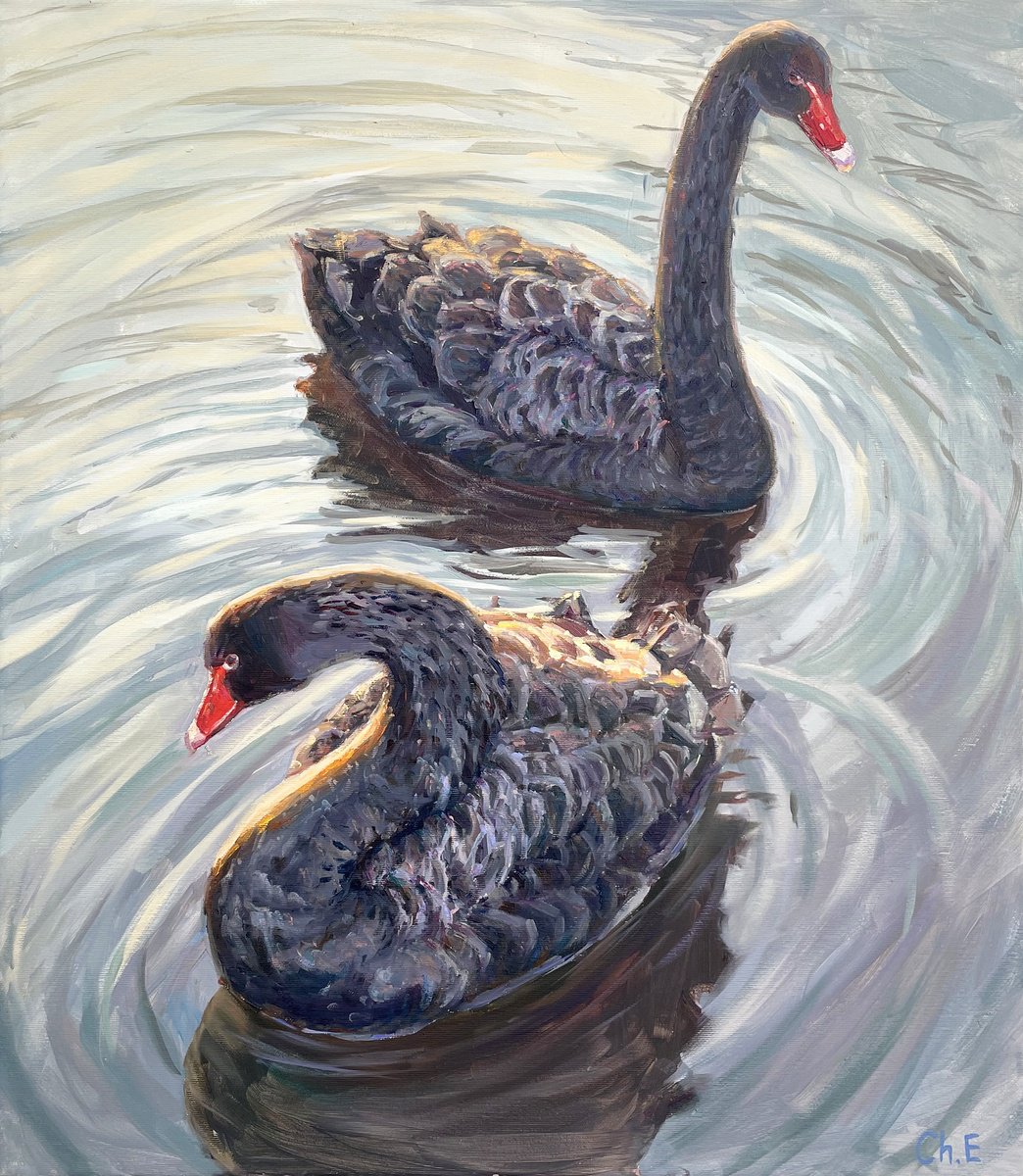 Black Swans By Evgeny Chernyakovsky, 24 X 27, Artwork For Sale On Artfinder