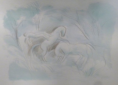 Horseland 8, 41x29 cm by Frederic Belaubre