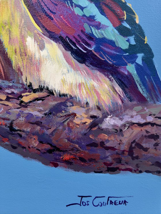 Three Kookaburras #4