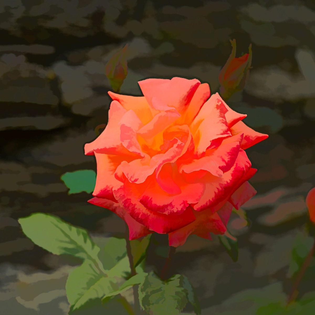 Impressionistic Botanical Photograph By Nick Psomiadis, 43 X 43", Ephemeral Grace, Original Artwork