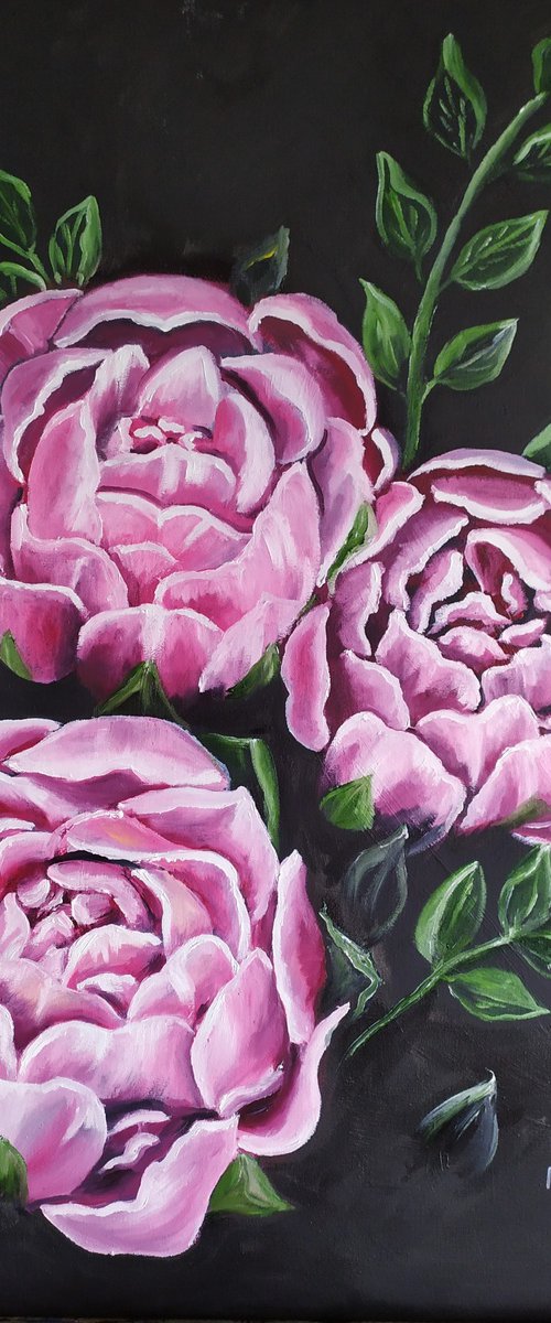Peonies by Nataliia Plakhotnyk