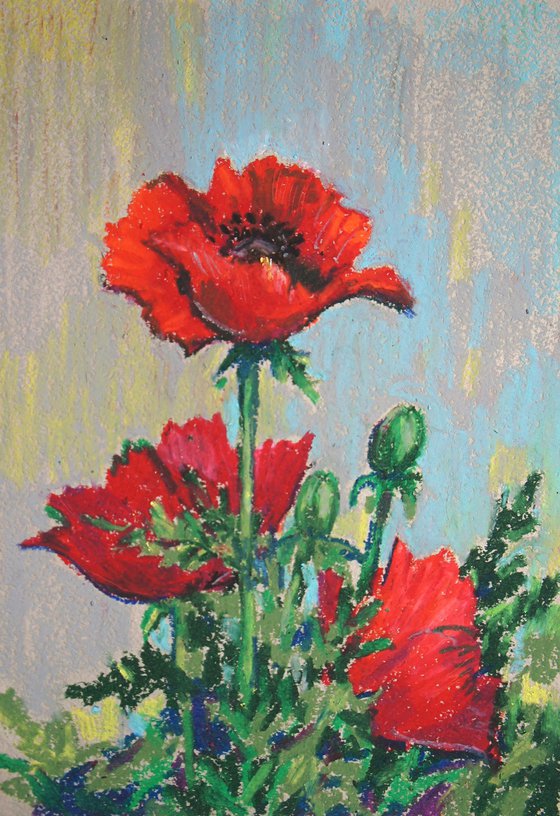 Poppies