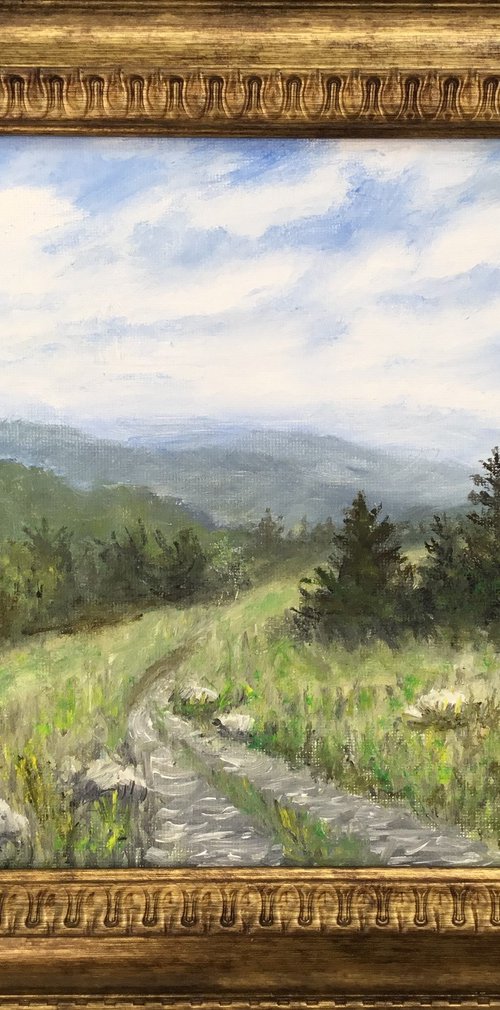 MOUNTAIN TOP TRAIL by Kathleen McDermott