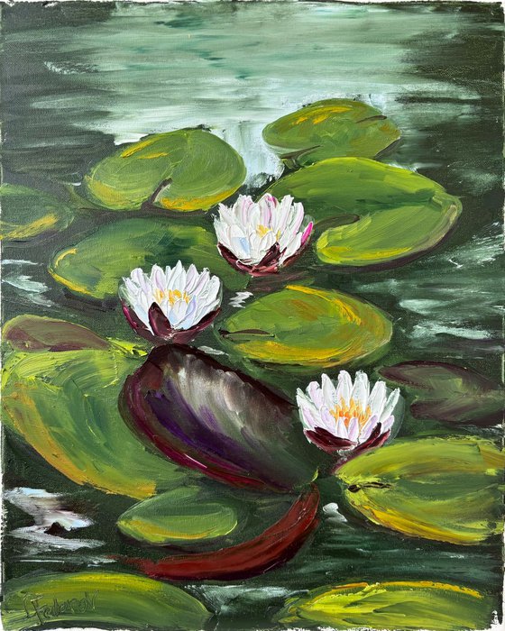 Serenity of Water Lilies