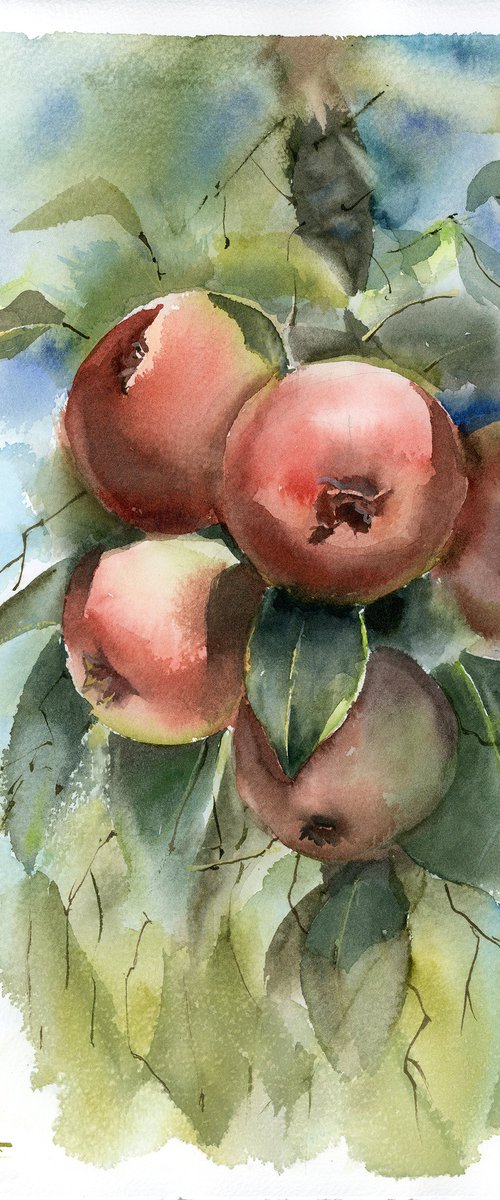 Apple Tree Branch by Olga Tchefranov (Shefranov)