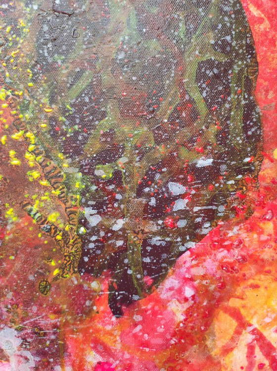 Red Maples of Paris